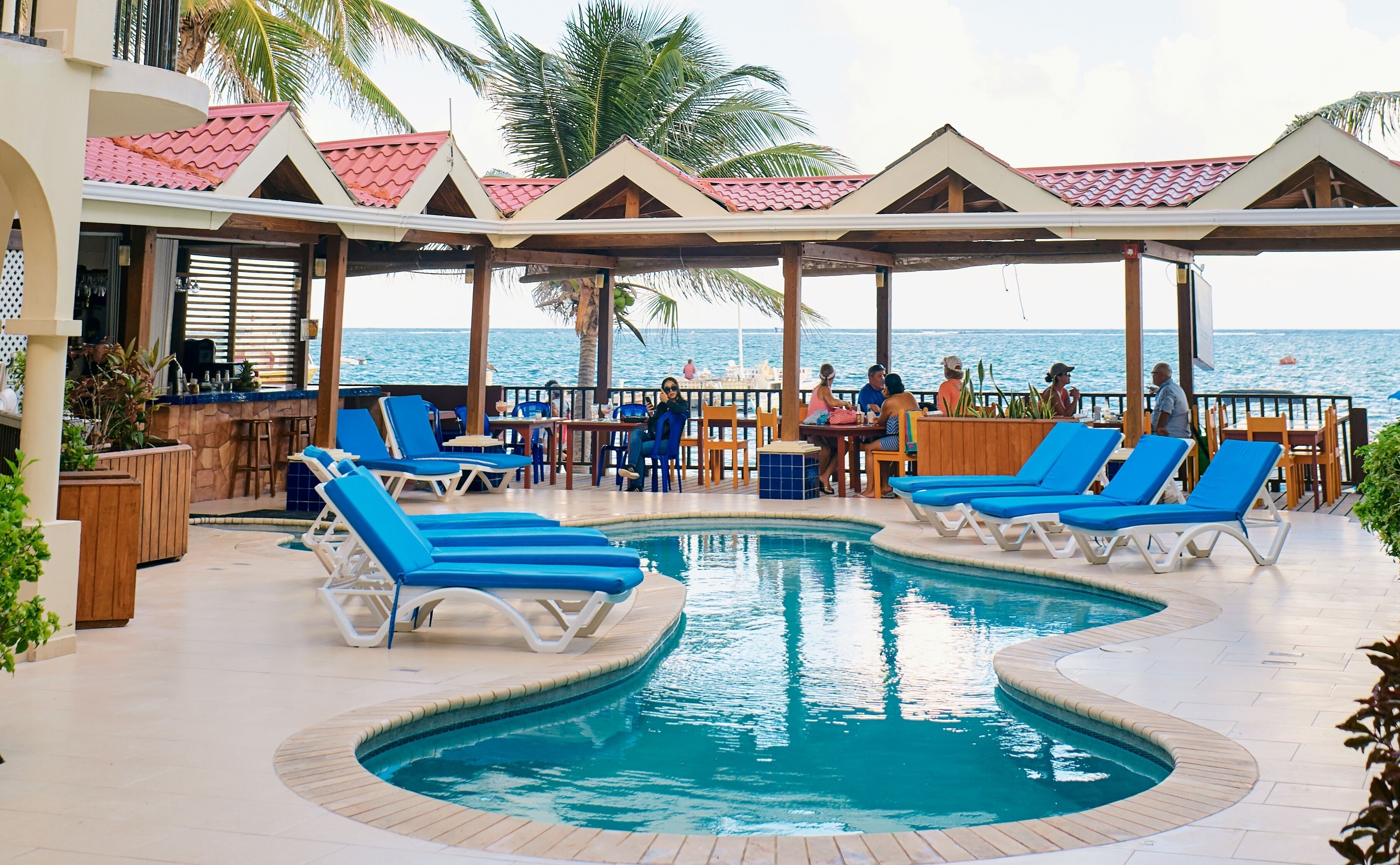 outdoor pool, pool loungers