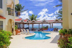 Outdoor pool, sun loungers