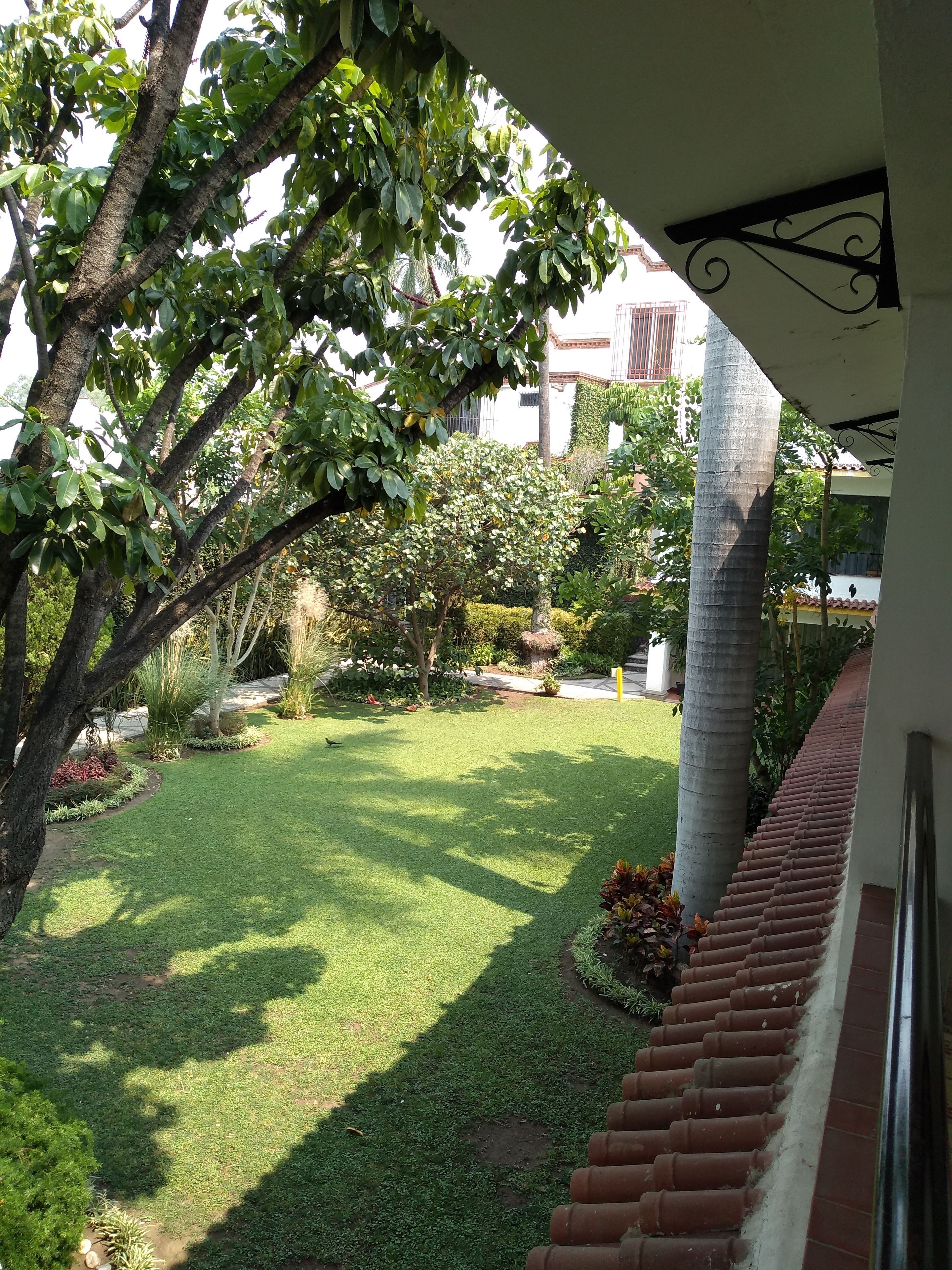 A well-maintained garden with a variety of trees and shrubs, a clear lawn, and a brick pathway leading to a building entrance.