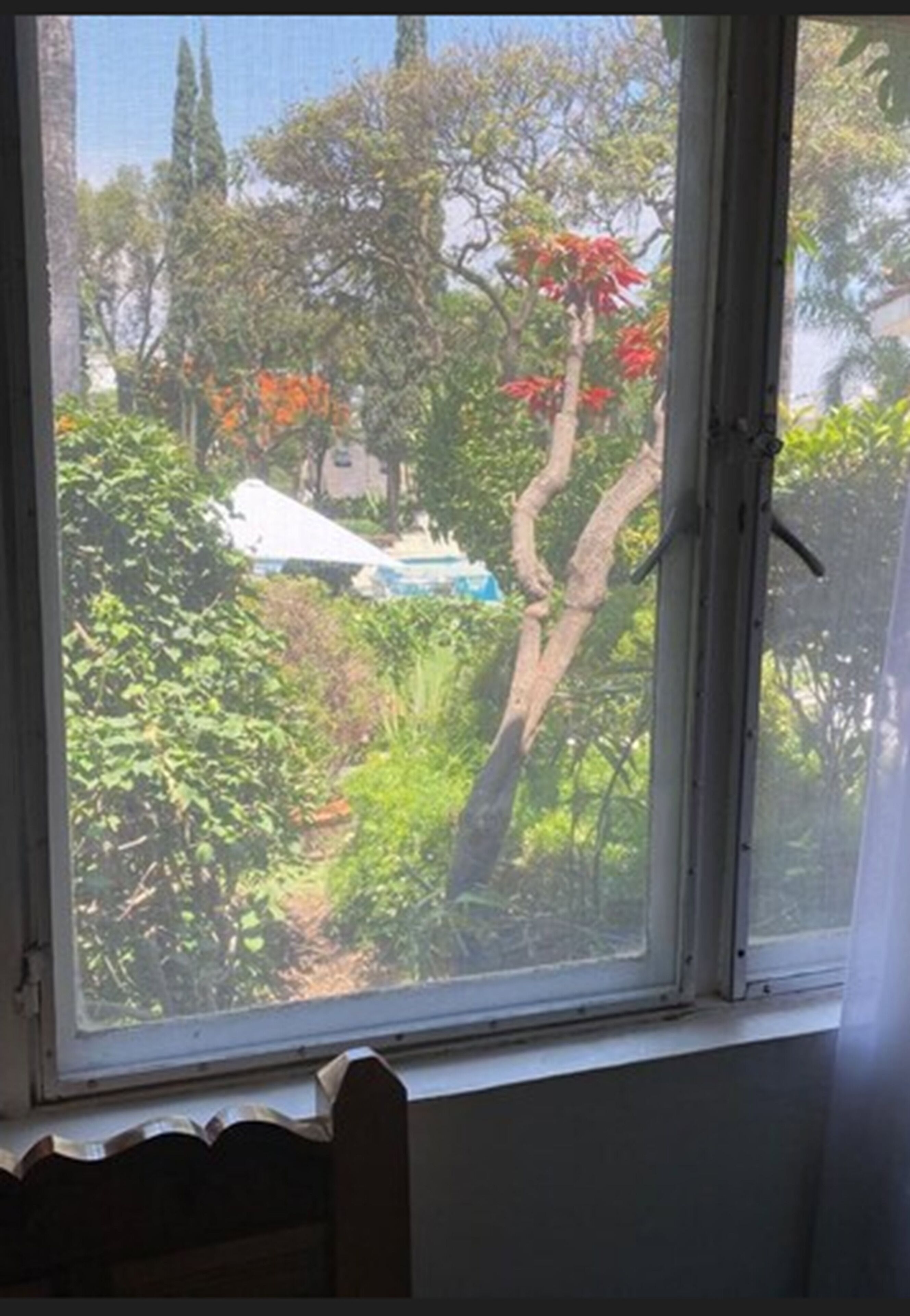 Foto - Hotel Posada Quinta Las Flores