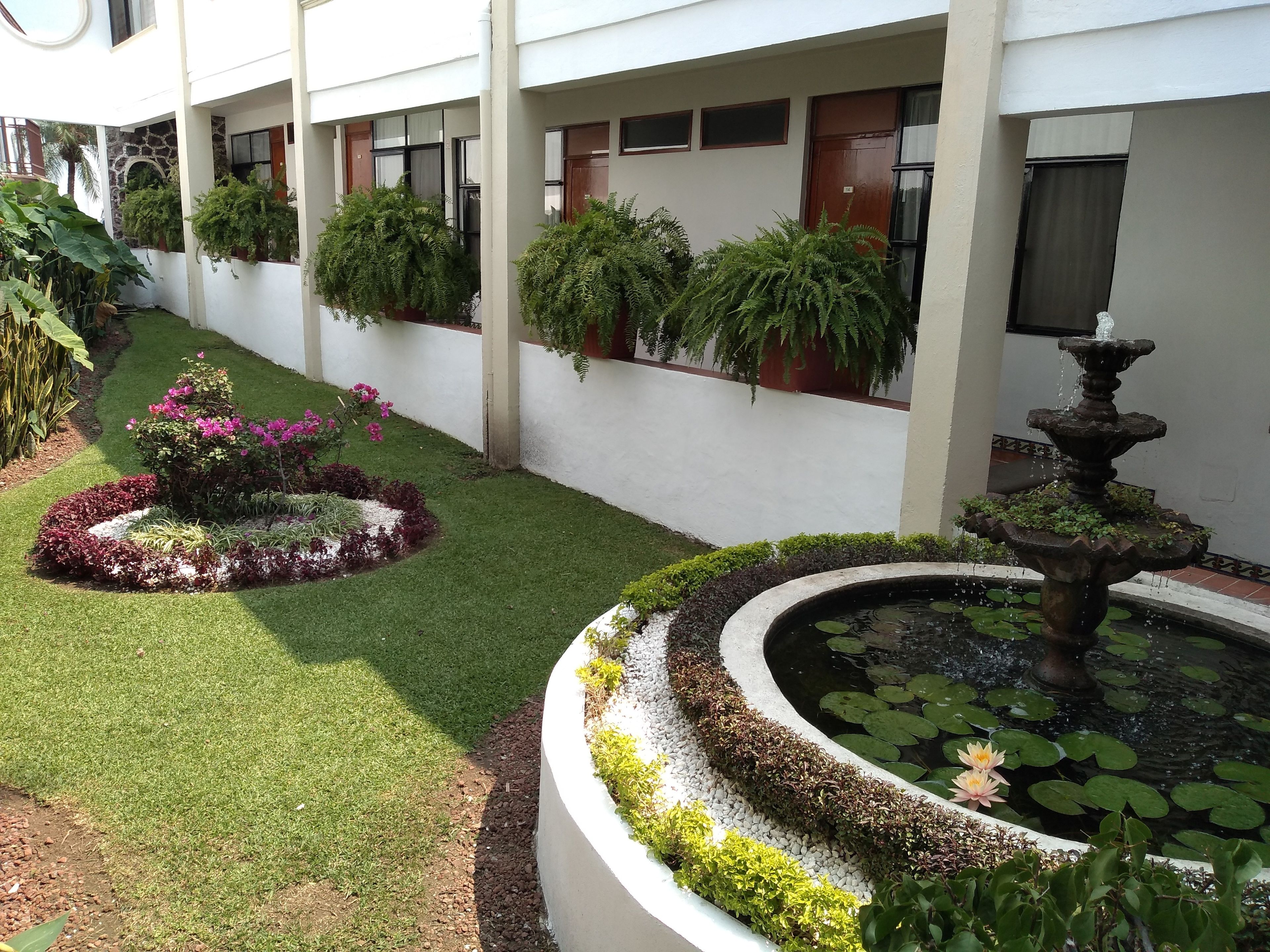 A courtyard with a fountain, a small pond with lily pads, and various potted plants.