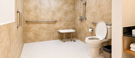 A bathroom with a toilet, a shower, and a handrail.