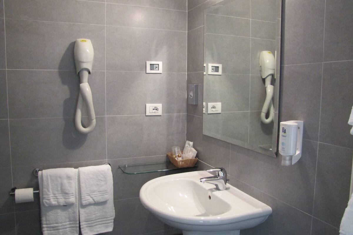 shower, hair dryer, bidet, towels