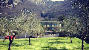 A modern building with a flat roof and large windows, surrounded by a grassy area with trees and a mountain in the background. - Park Hotel Il Vigneto (Arco)