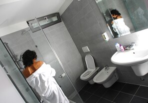 Regadera, secadora de cabello, bidet, toallas 