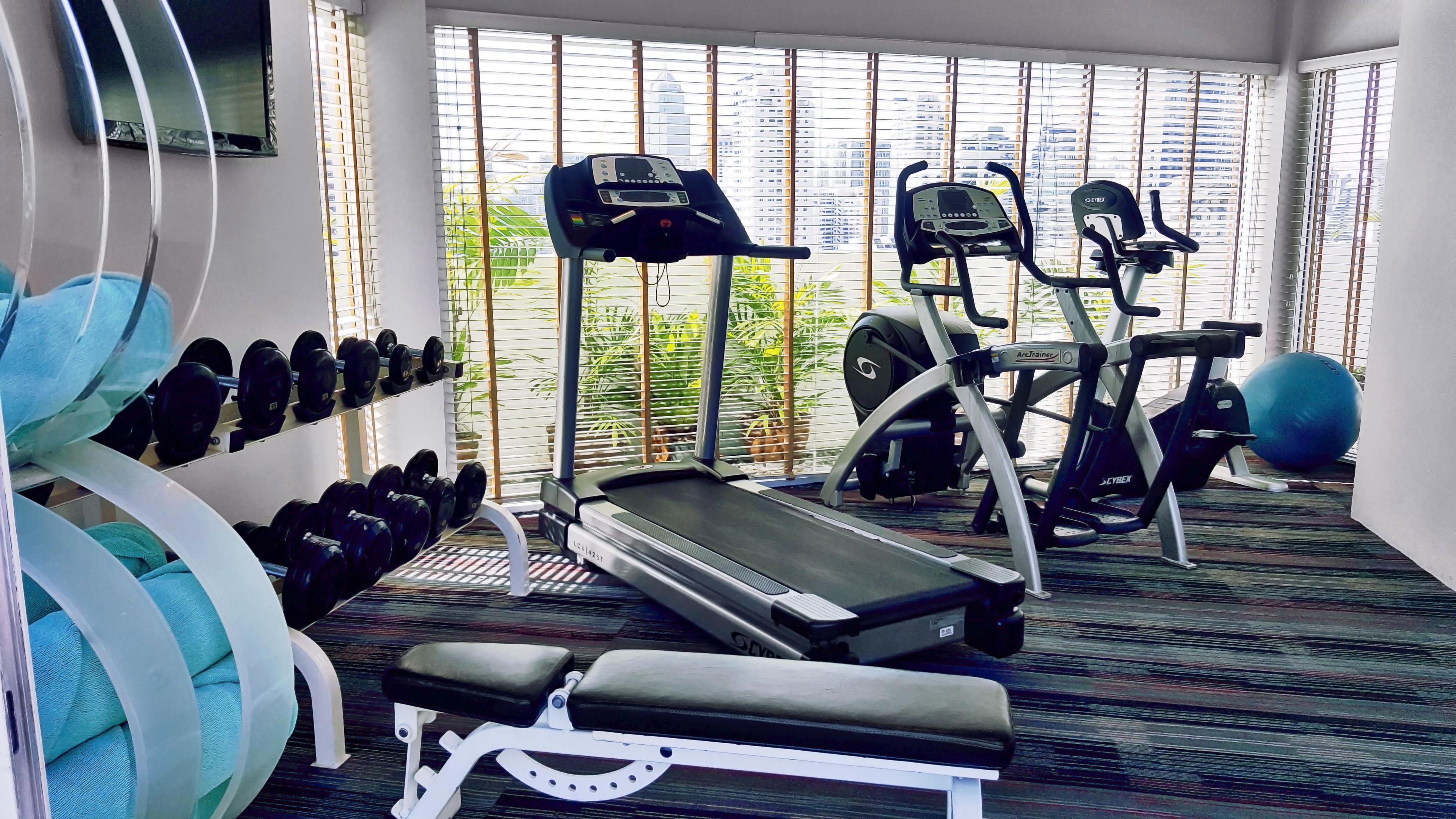 A gym with treadmills, elliptical machines, and free weights.