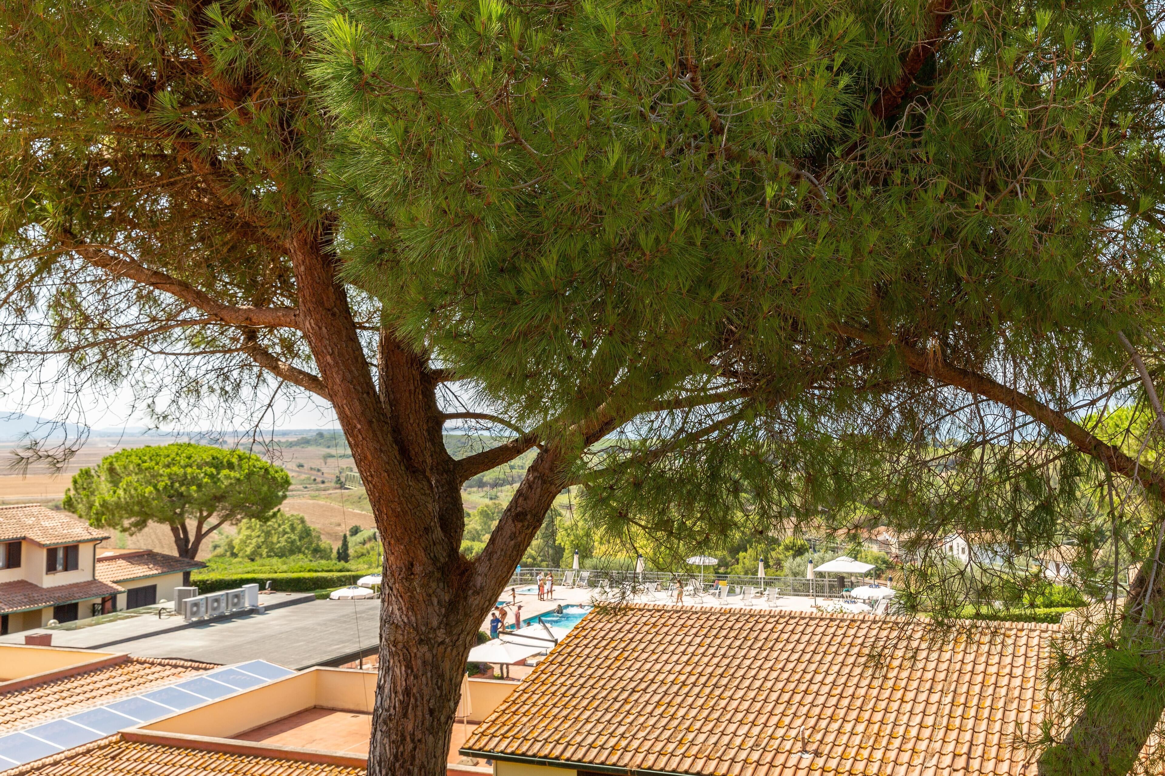 Chambre | Vue de la chambre