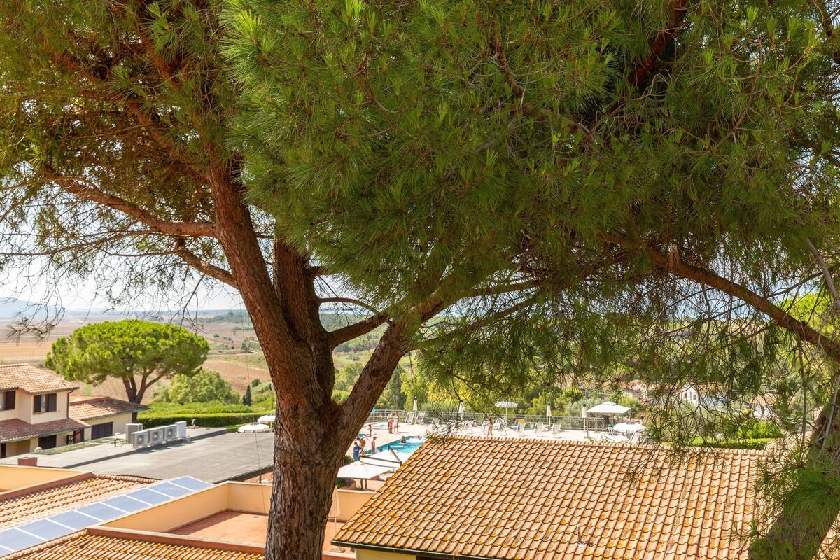 Habitación básica | Vista desde la habitación