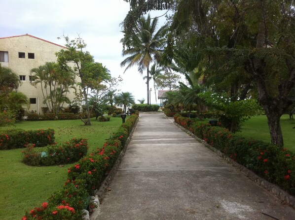 Property grounds - Emotions by Hodelpa Puerto Plata (Puerto Plata)