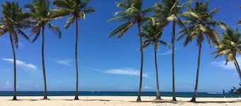 Emotions by Hodelpa Puerto Plata