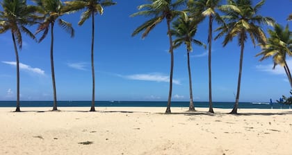 Emotions by Hodelpa Puerto Plata