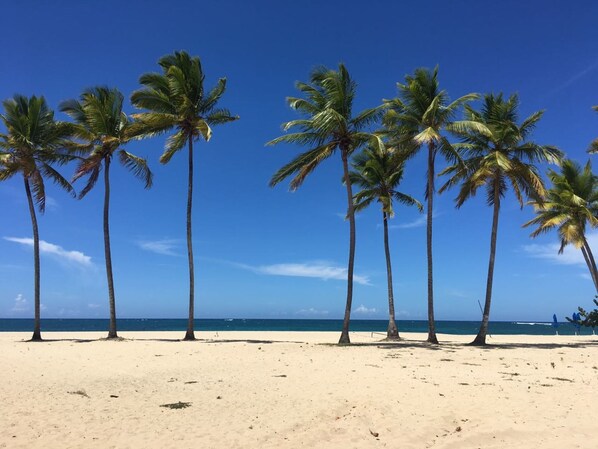 Playa privada, playa de arena blanca, camastros y sombrillas 