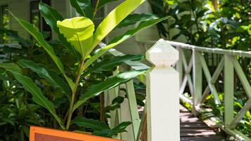 One Bedroom Cottage w/ AC | Terrace/patio