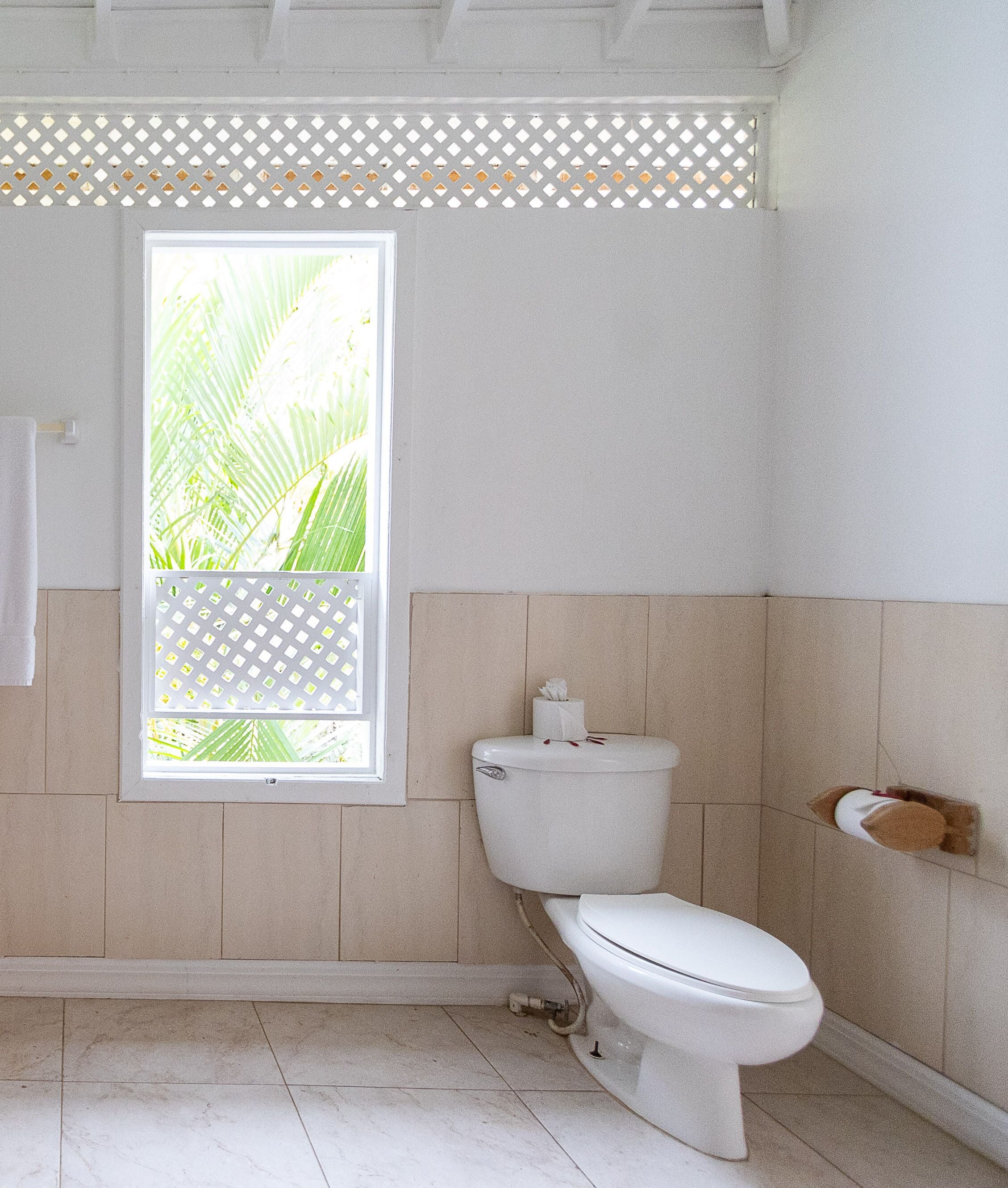 deluxe cottage, 2 bedrooms | bathroom | shower, free toiletries, hair dryer, towels