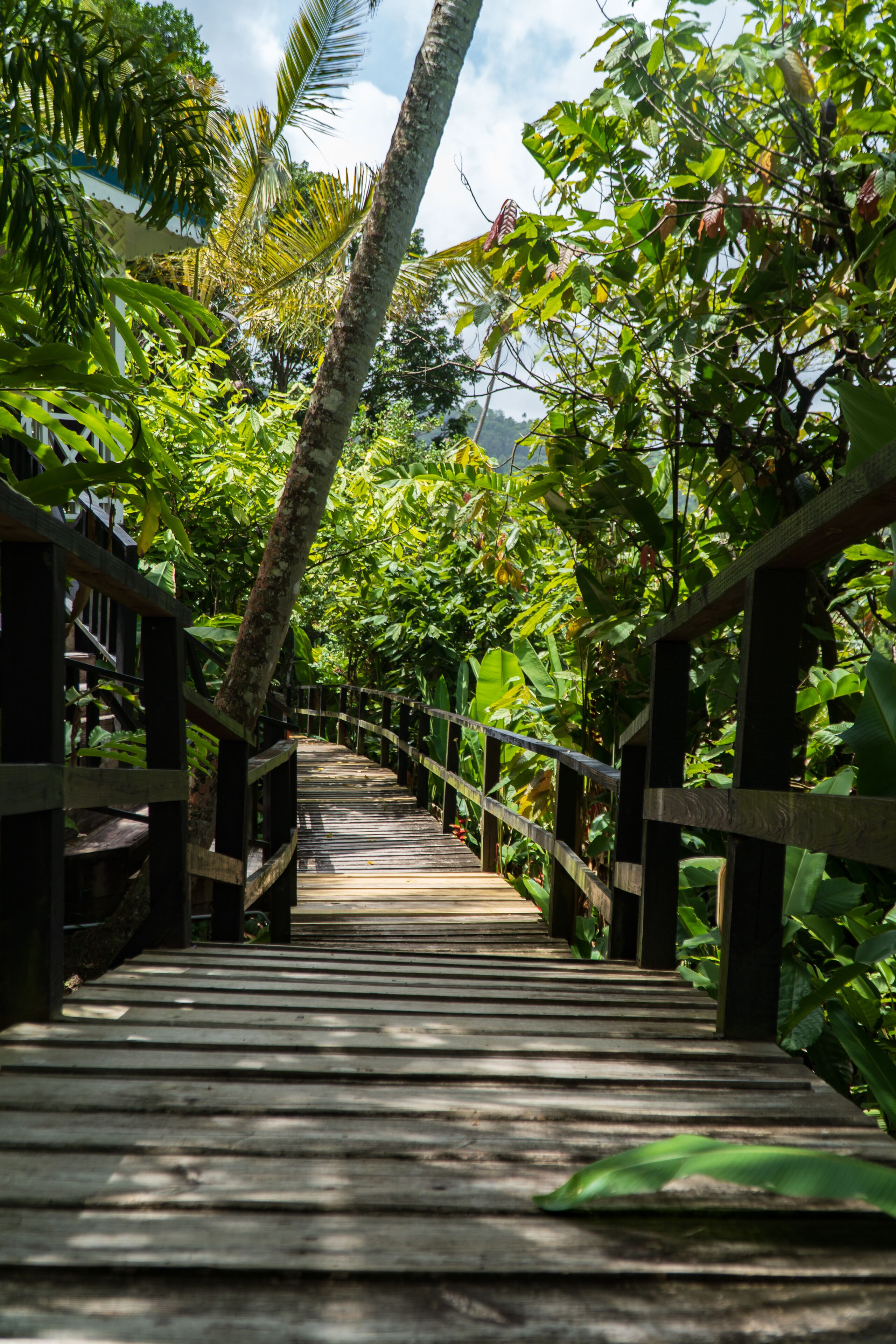 1 bedroom, minibar, in-room safe, individually decorated