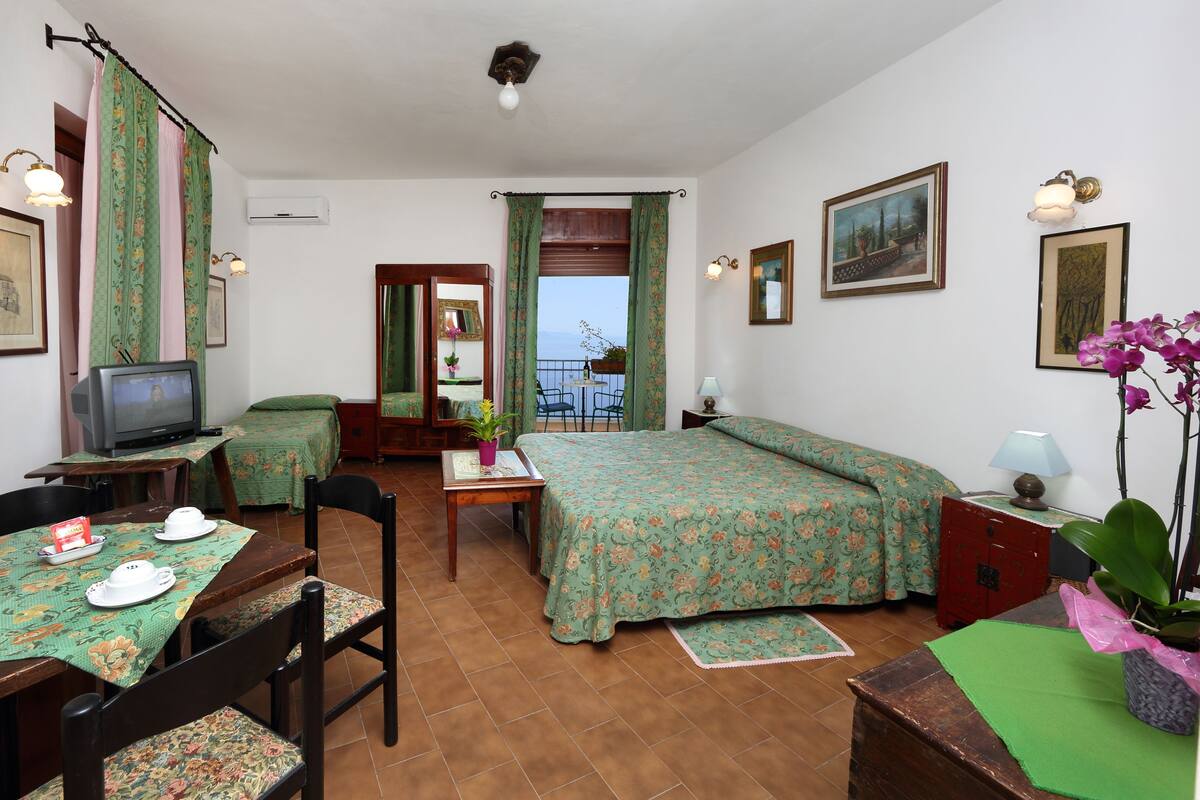 Desk, iron/ironing board, free WiFi