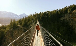 A suspension bridge with a person walking on it, surrounded by forest and mountains. - Winston Lodge (Golden)
