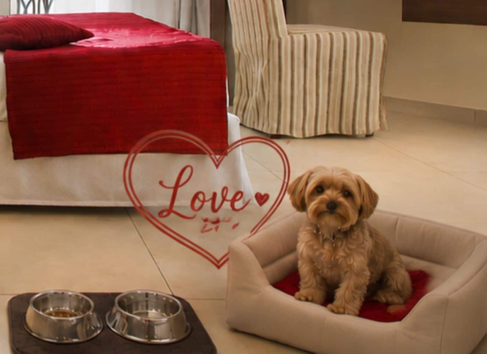 클래식 더블룸 또는 트윈룸 (PET Friendly) | 미니바, 객실 내 금고, 책상, 암막 커튼