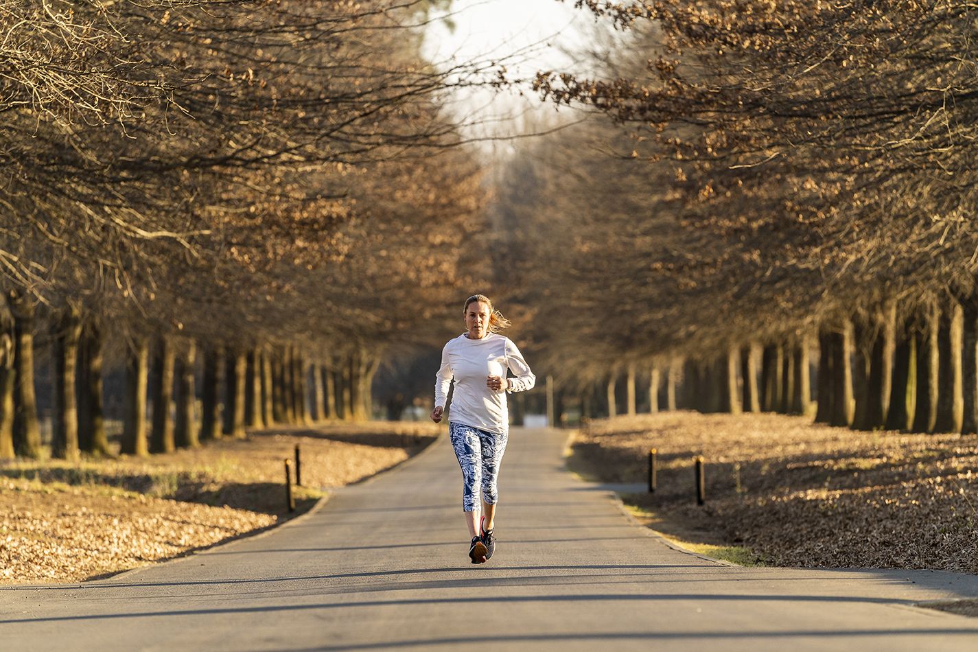 A person jogging on a tree-lined path.