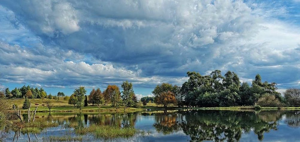 Un paysage paisible, avec un lac dans lequel se reflètent les arbres et le ciel.
