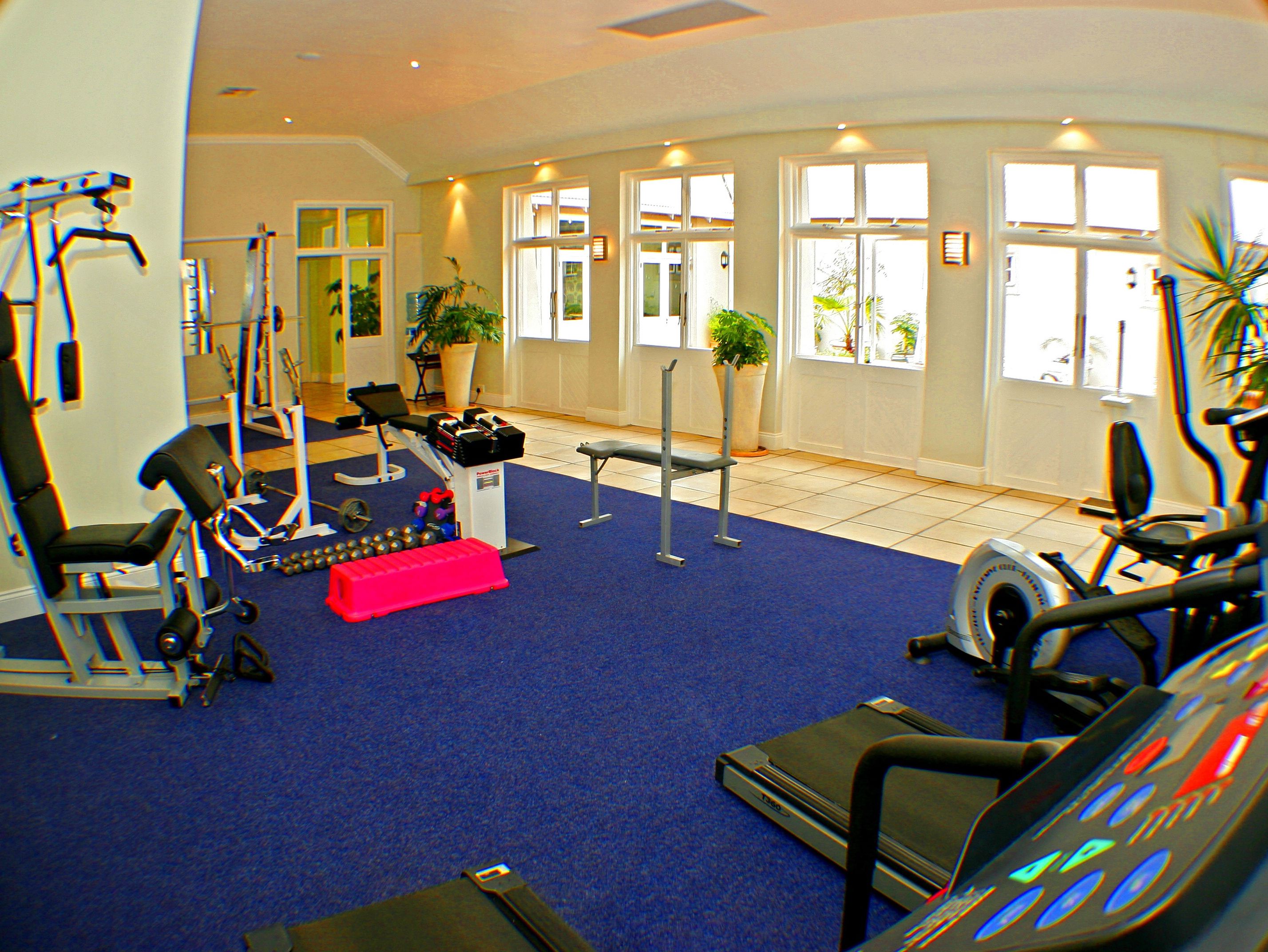 A gym with exercise equipment, a blue carpet, and large windows.