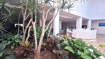 Un espacio interior moderno con una recepción, plantas de interior y un árbol grande.