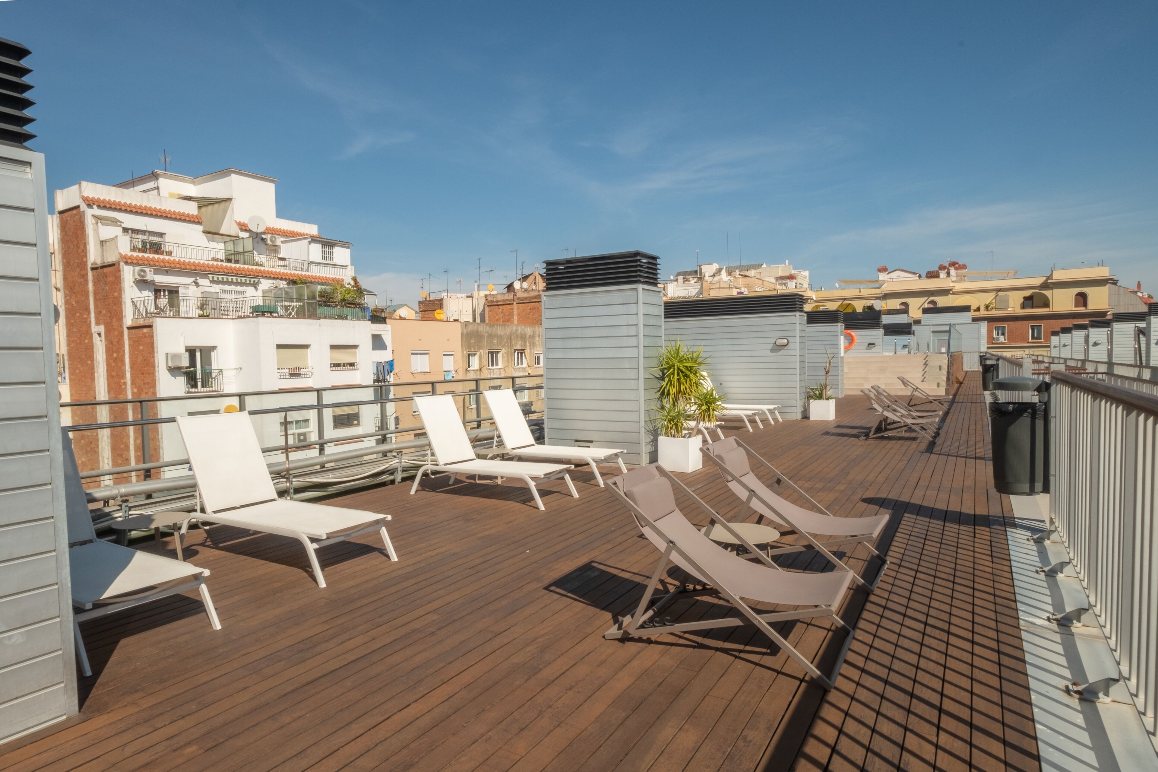 Terraza en la azotea con tumbonas y una planta en maceta.