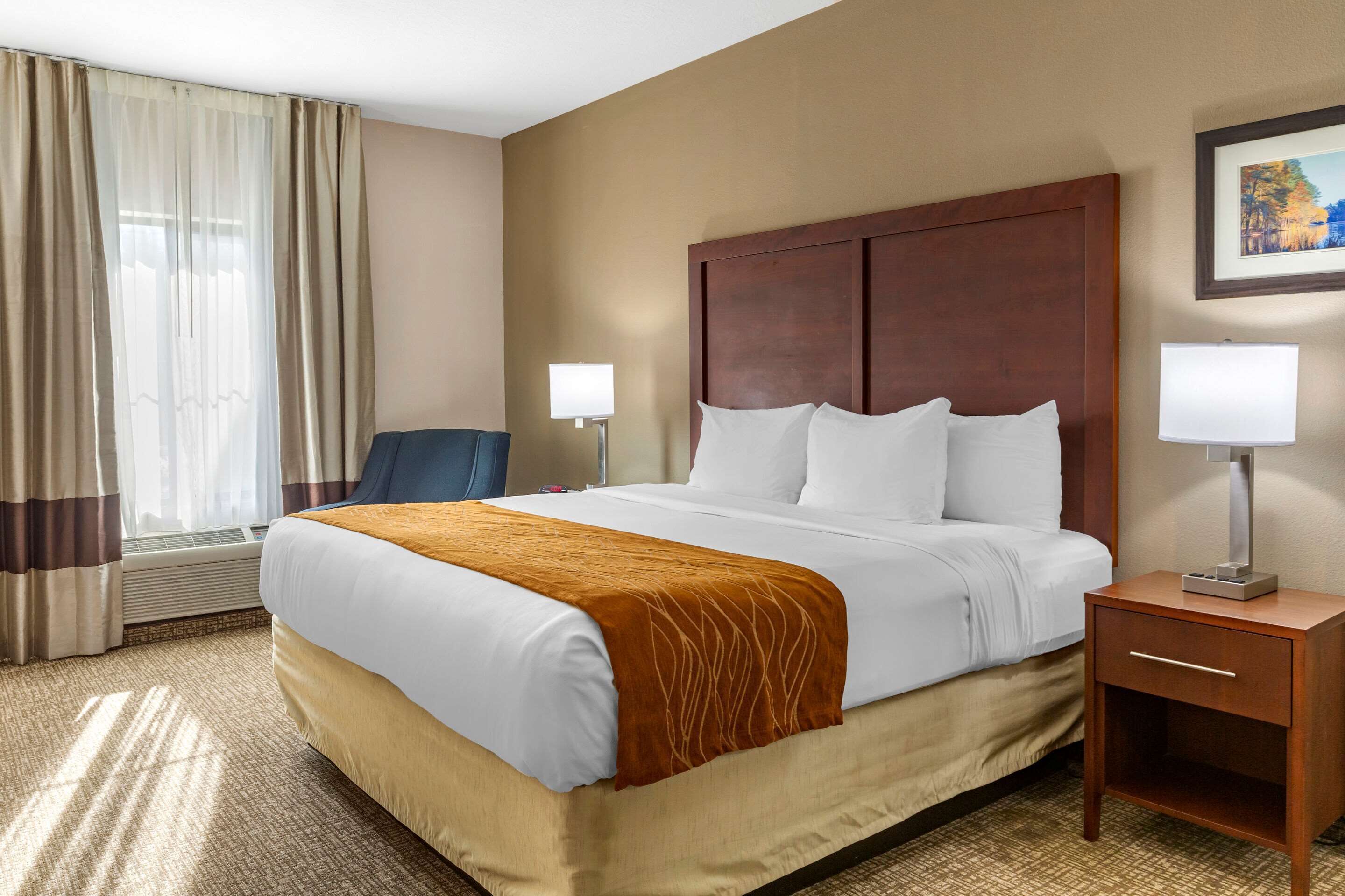 Room, 1 King Bed, Accessible, Non Smoking