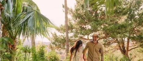 Una pareja caminando por un sendero cubierto de césped, rodeada de abundante vegetación y árboles altos.