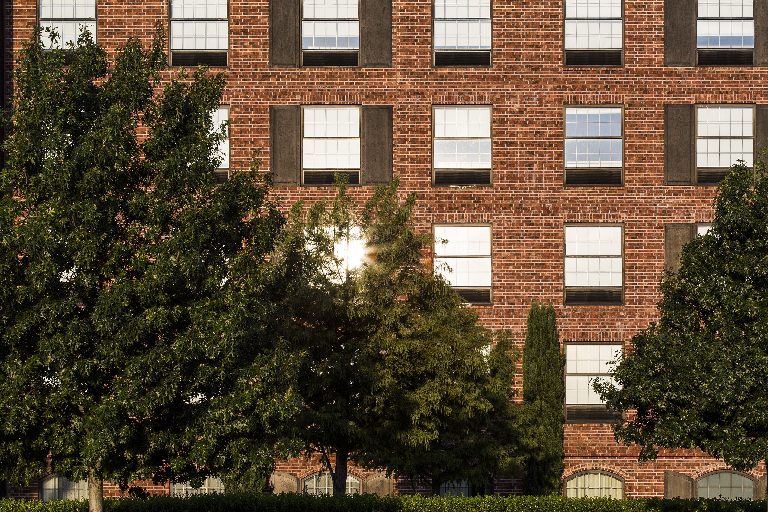 A multi-story brick building with large windows and a tree in the foreground.