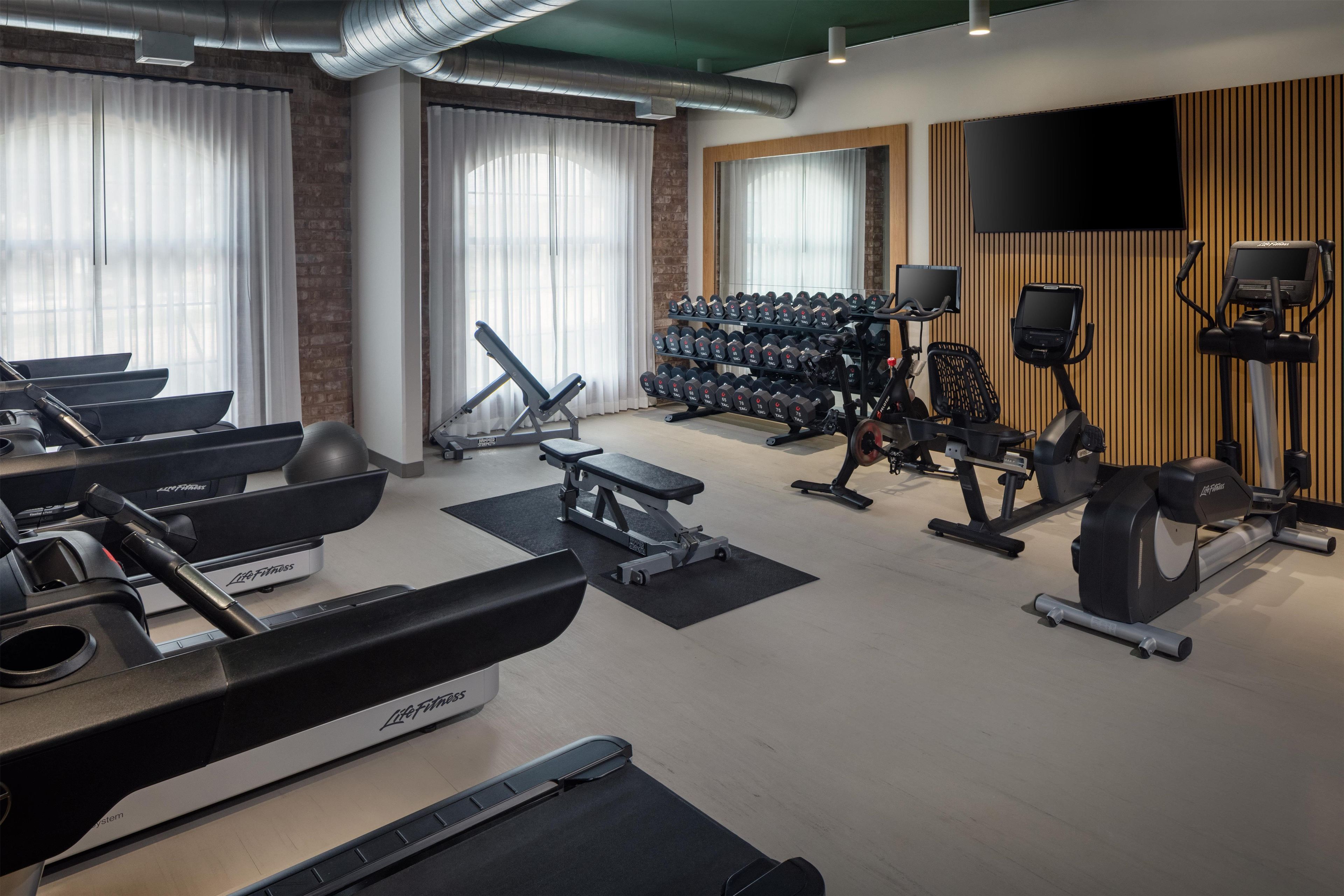 A gym with treadmills, dumbbells, and exercise equipment.