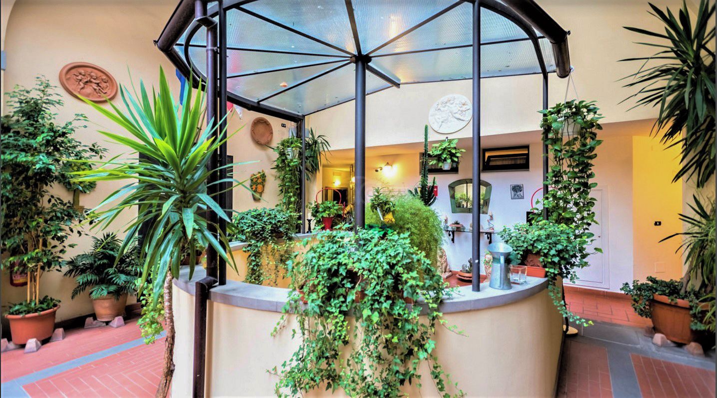 Un jardín interior cubierto con plantas en macetas y un área de descanso central.
