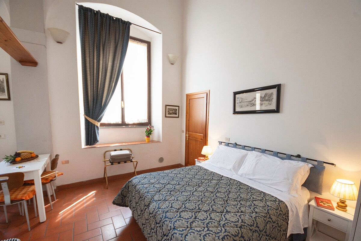 Premium bedding, down comforters, in-room safe, desk