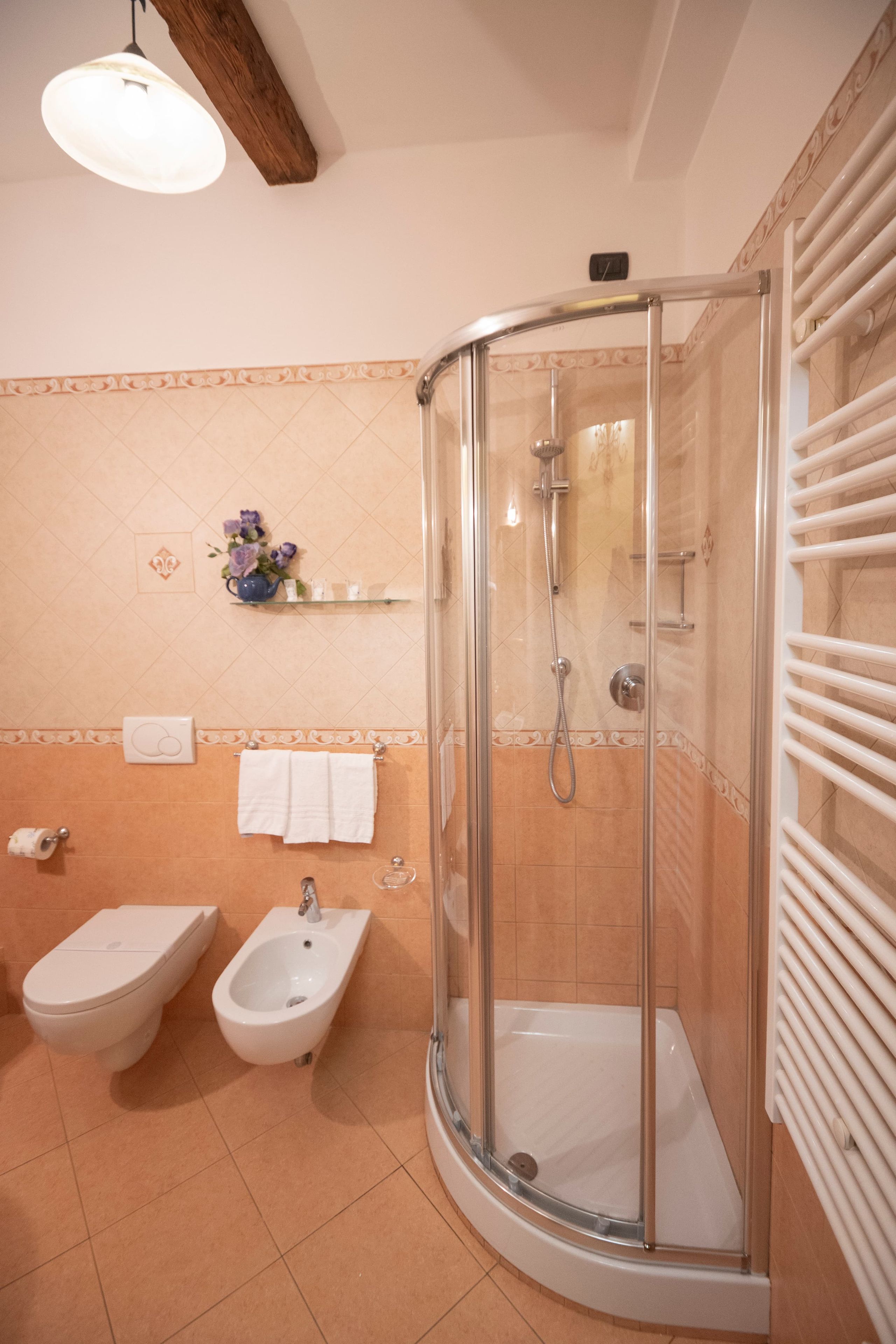 A shower enclosure with a glass door, a bidet, and a toilet.