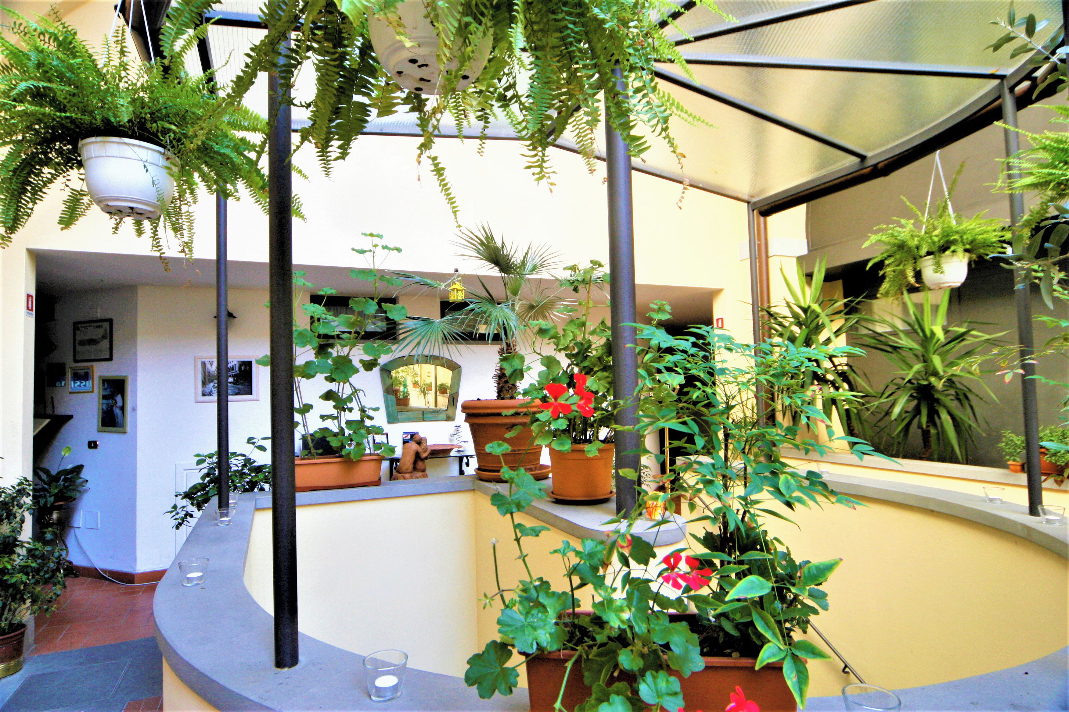 An indoor garden with various potted plants and a fountain.