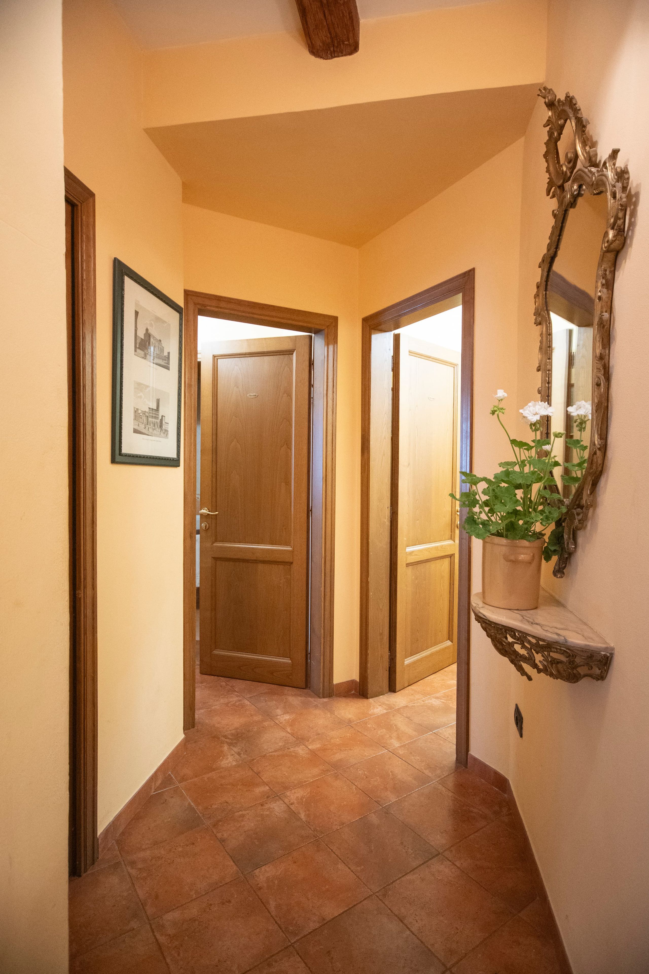 A hallway with a wooden door, a framed picture, a potted plant, and a mirror on the wall.
