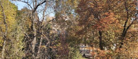 A view of a park with trees and a building in the background.