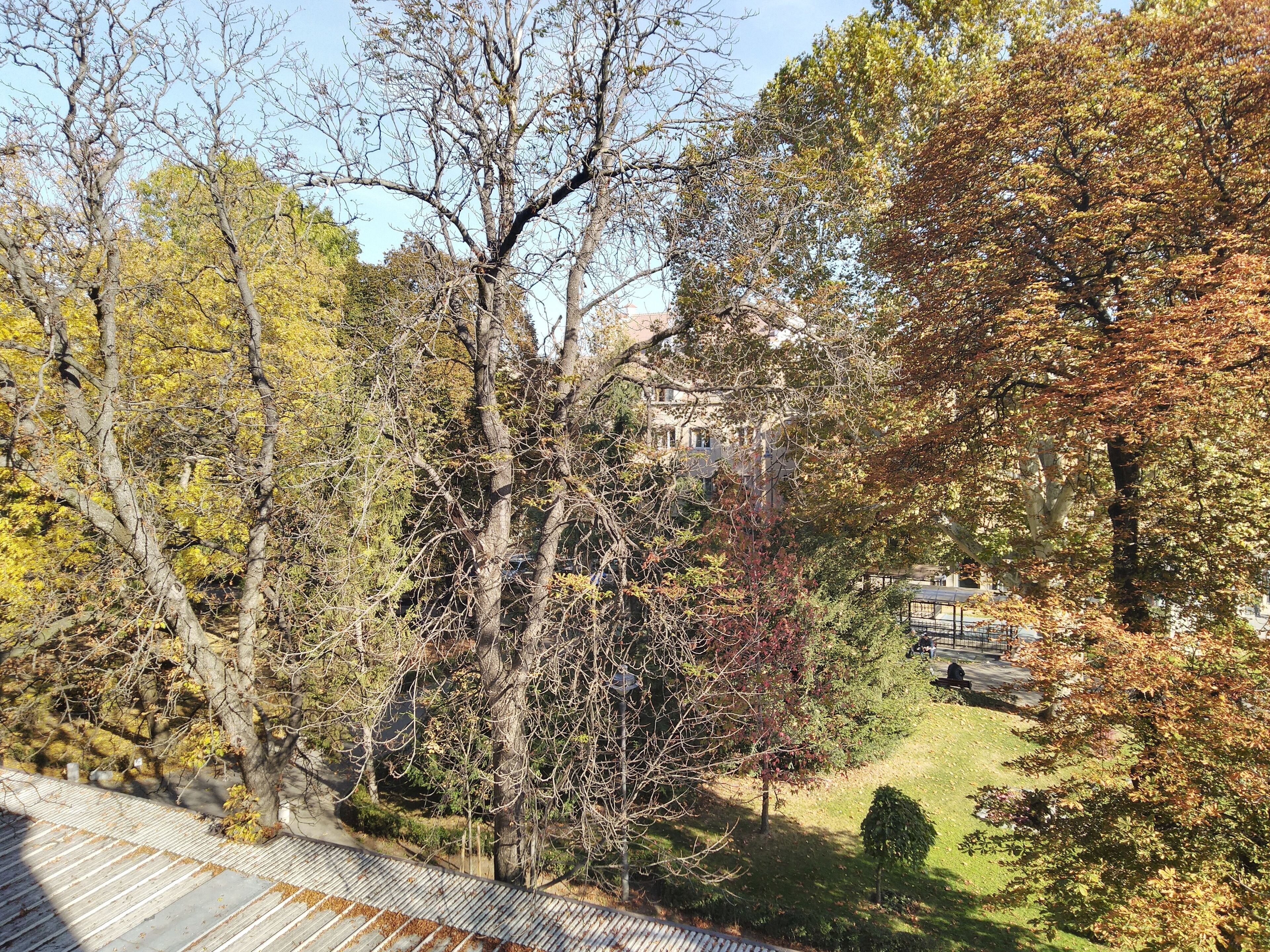 Deluxe Family PLUS Room | View from room