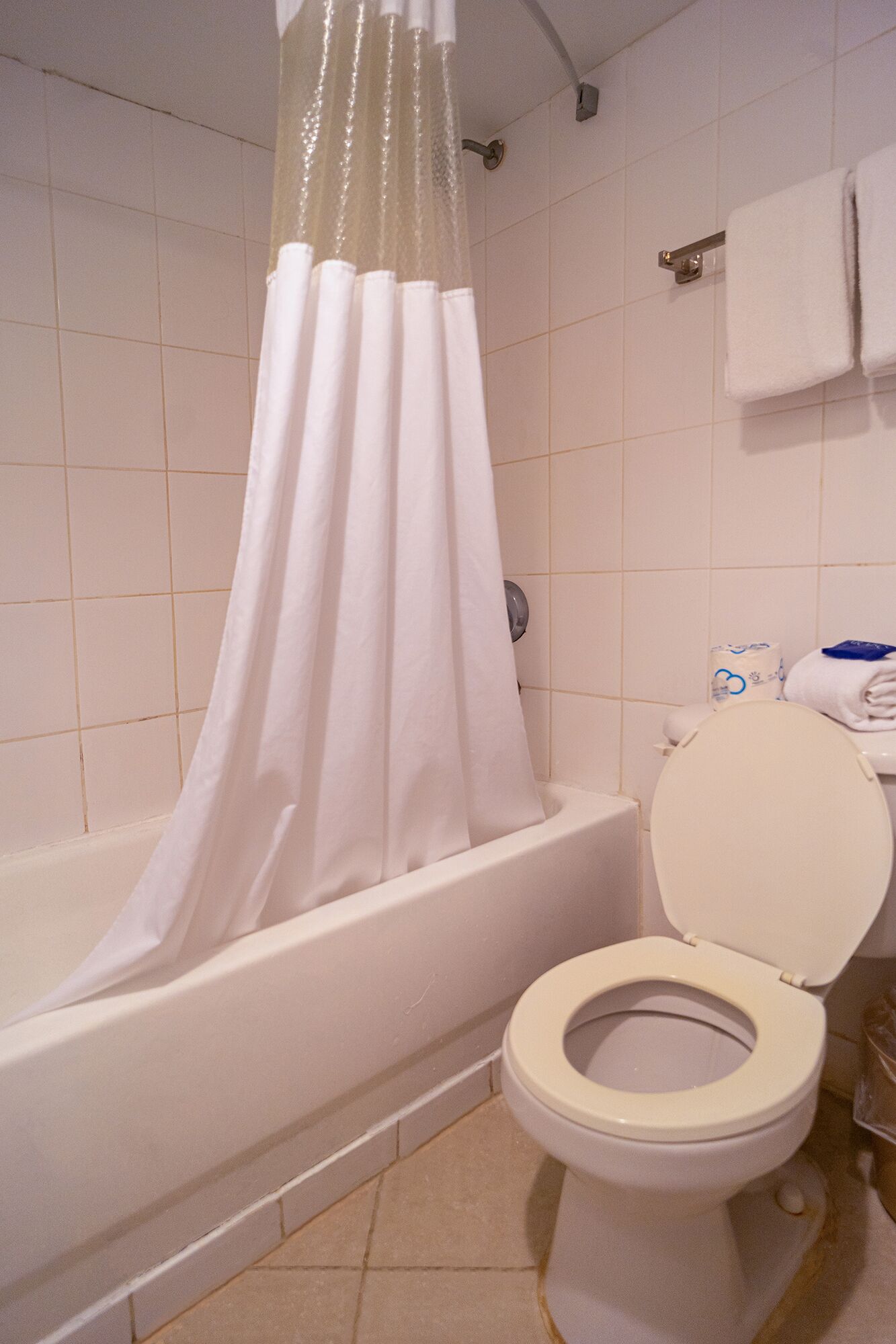 Ein Badezimmer mit Badewanne, Toilette und Duschvorhang.