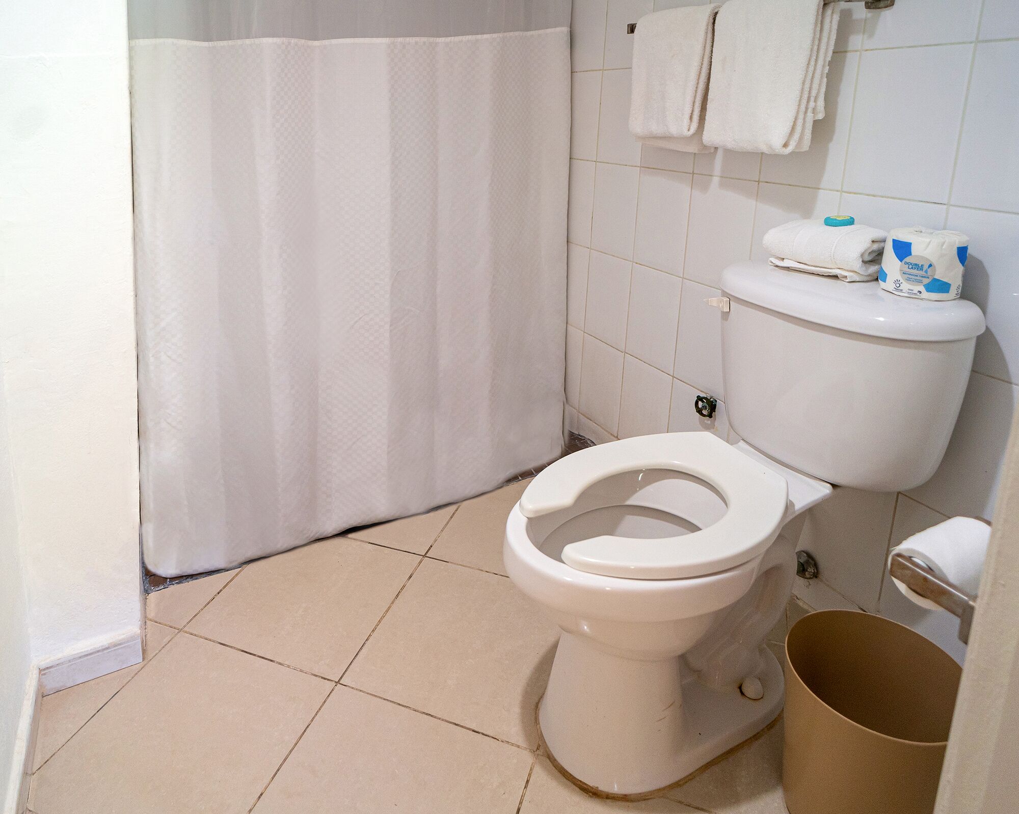 Ein Badezimmer mit Toilette, Duschvorhang, Handtuchhalter und Toilettenpapierhalter.