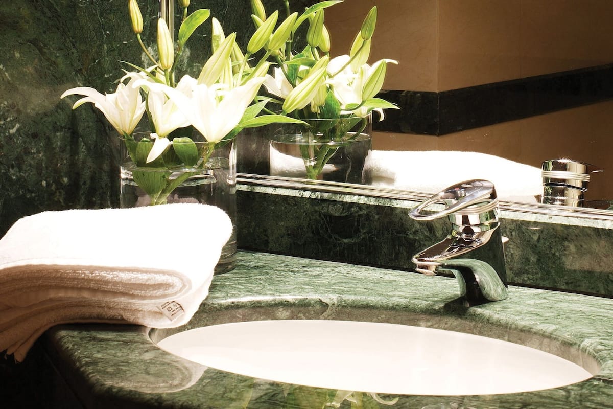 combined shower/bathtub, free toiletries, hair dryer, towels