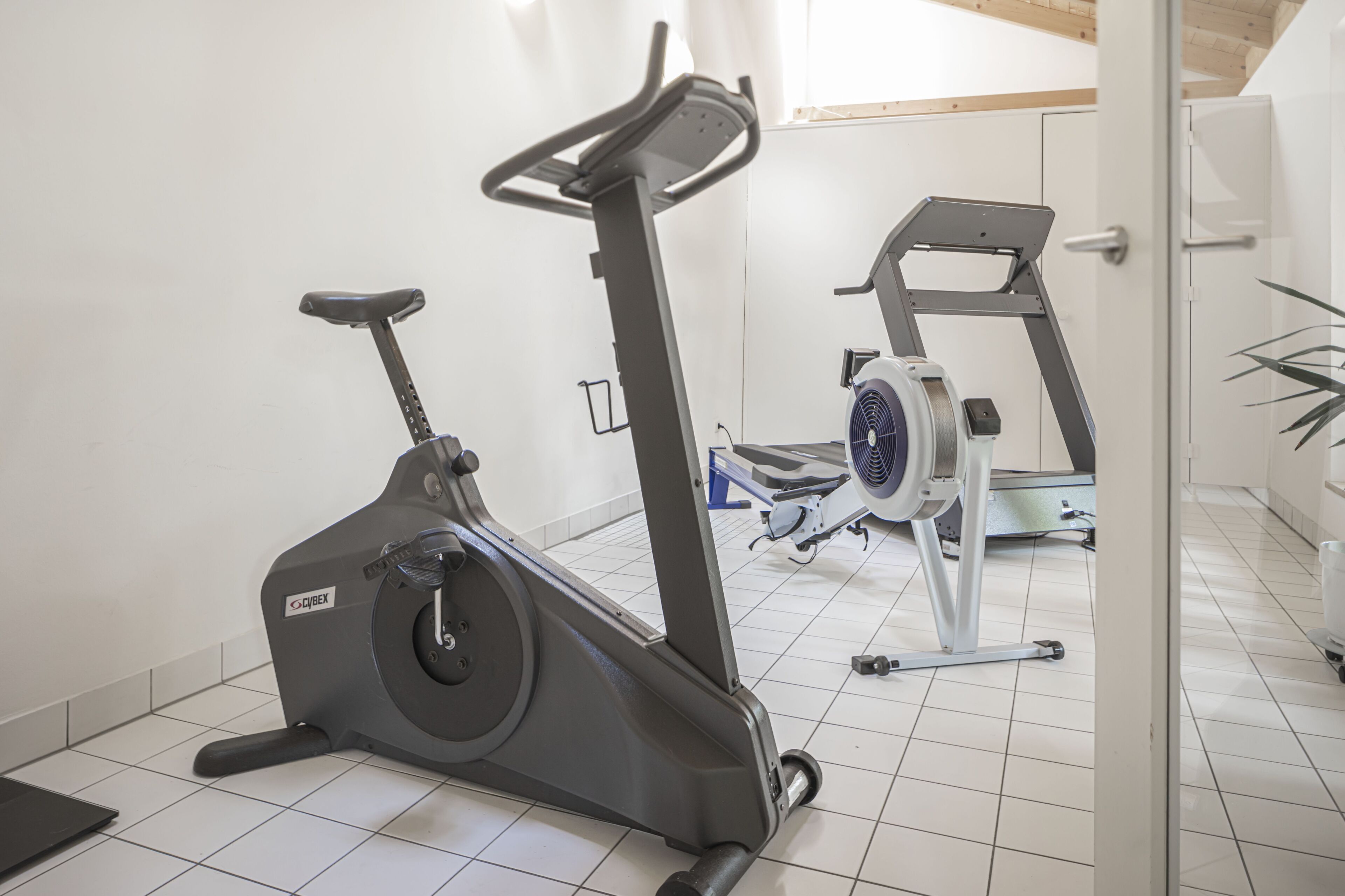 A home gym with a stationary bike, treadmill, and weights.