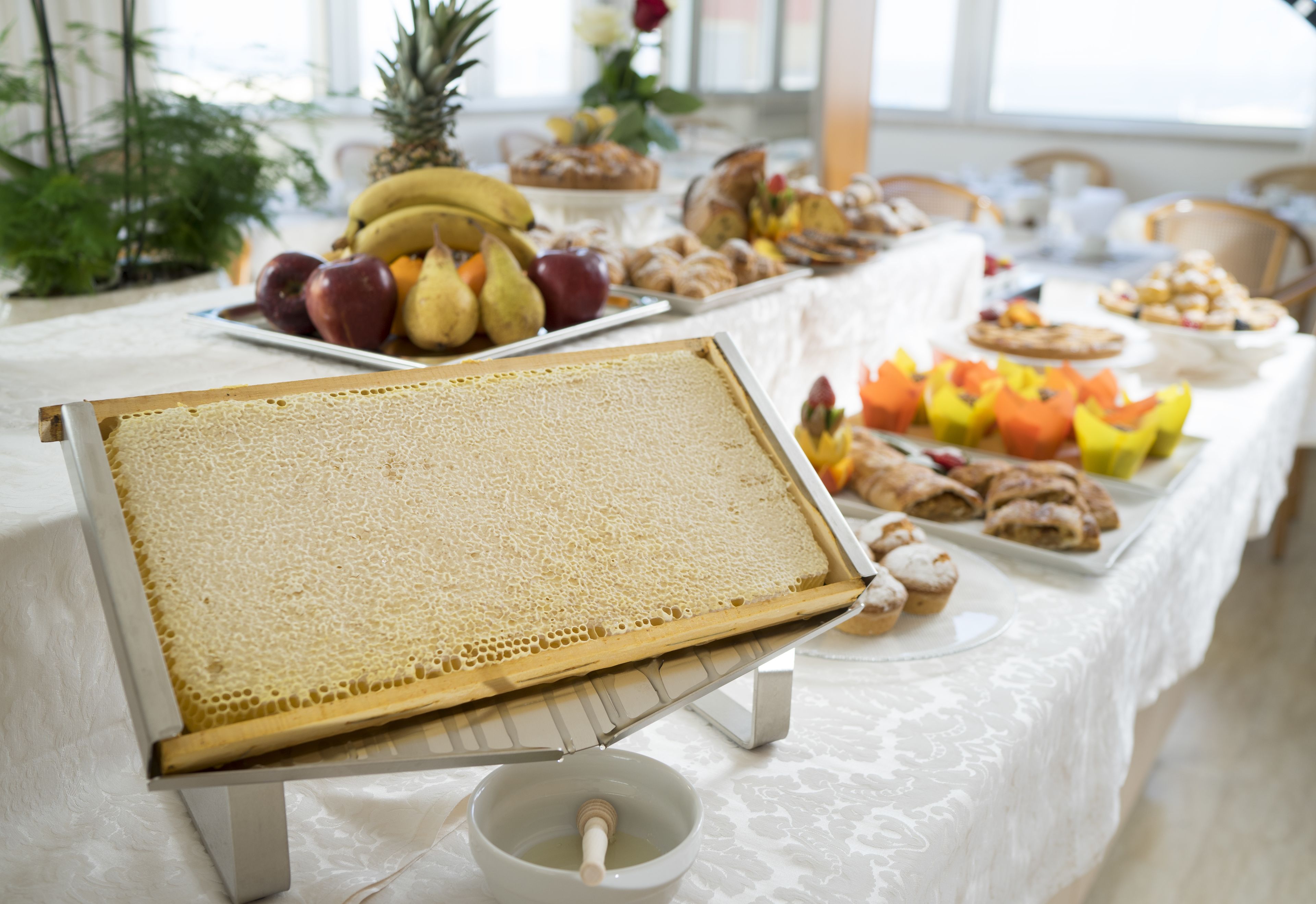 Una mesa de buffet con diversos alimentos y una exhibición de panales.