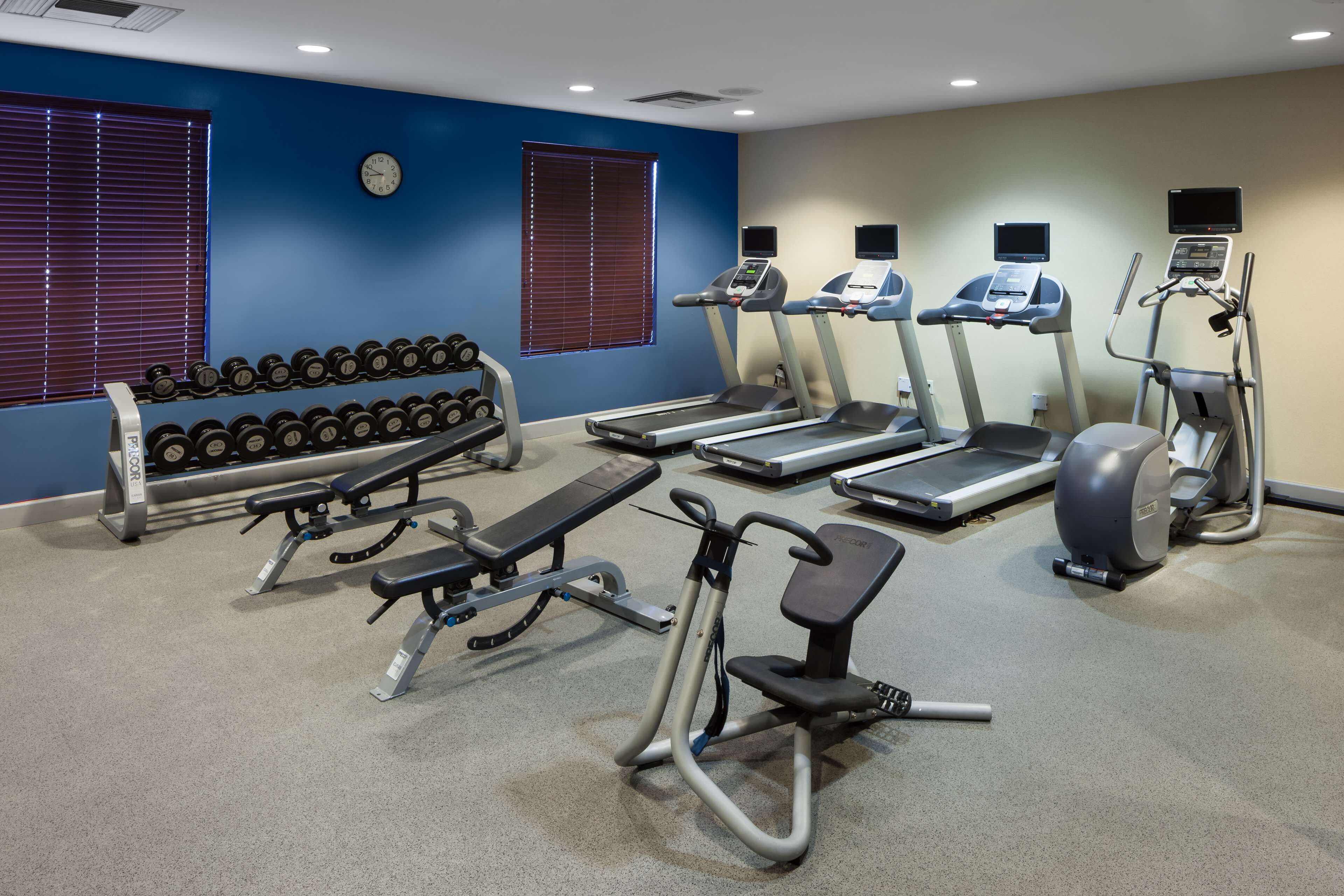 A gym with treadmills, elliptical machines, a bench press, and dumbbells.