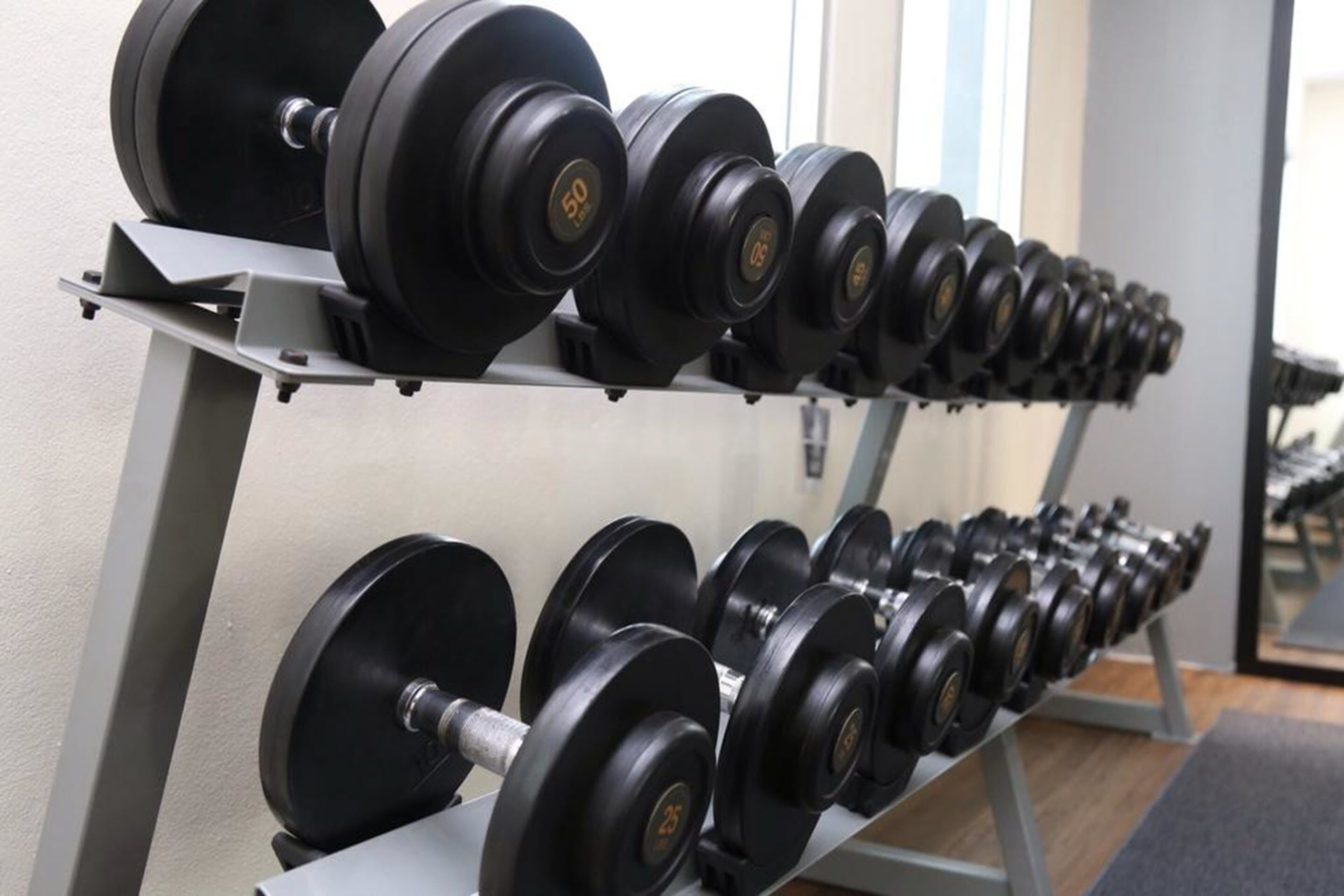 Un estante con mancuernas en un gimnasio.