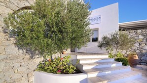 A hotel entrance with stone steps leading up to a white building, a large tree in the foreground, and a clear blue sky. - Hotel Pelican (Mykonos)