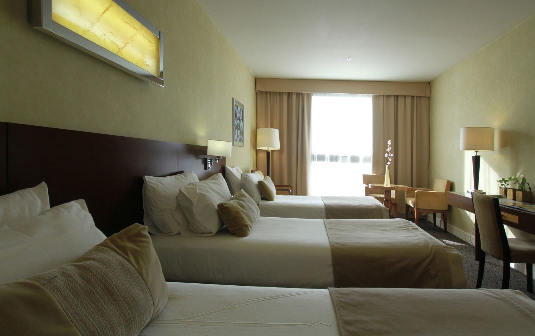 Ropa de cama de alta calidad y edredones de plumas