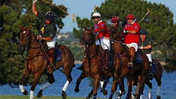 Un gruppo di giocatori di polo a cavallo in un prato erboso, con uno specchio d'acqua sullo sfondo.