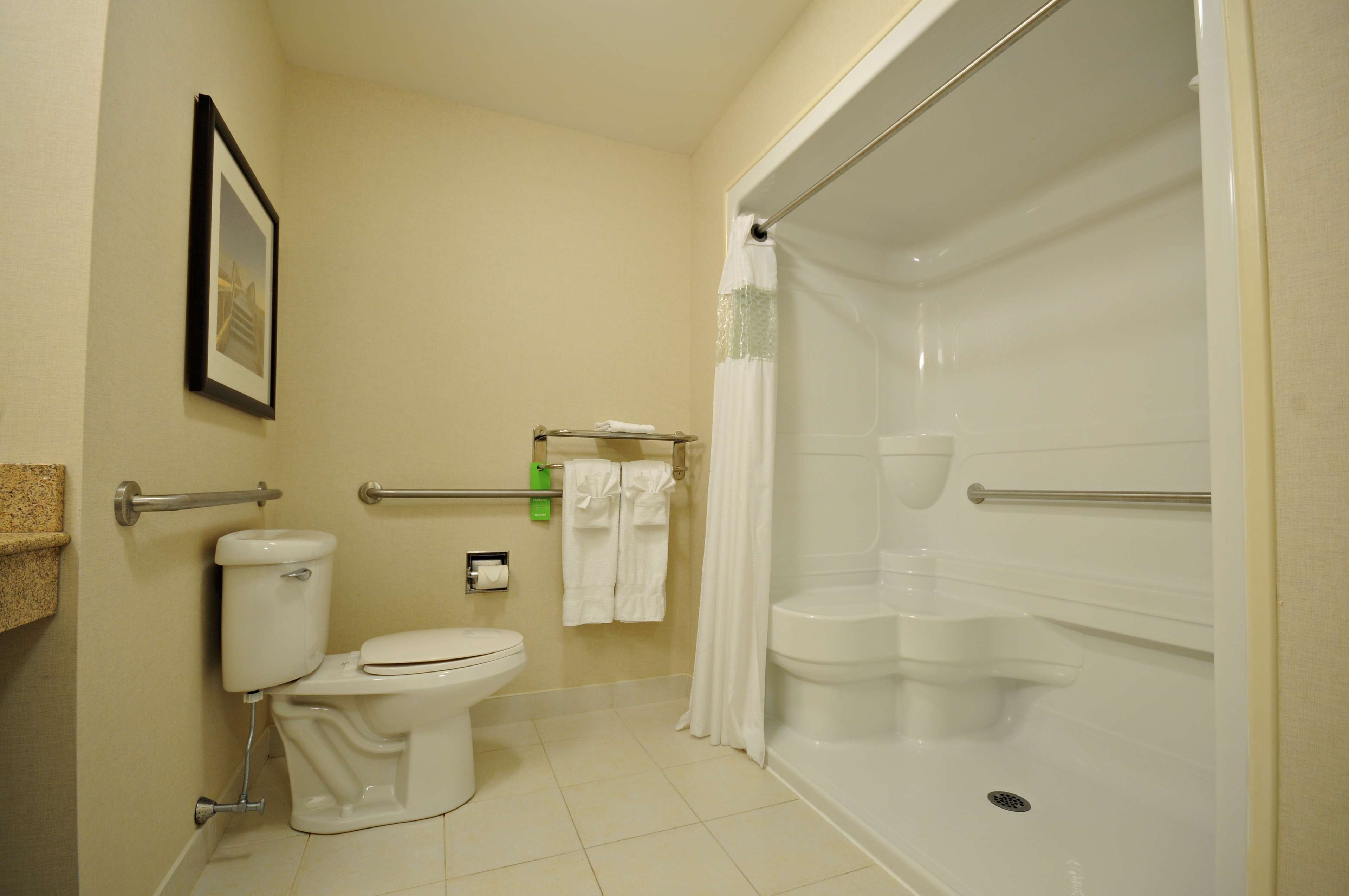 Un baño con inodoro, ducha y un cuadro en la pared.