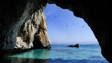 On the beach, white sand, free beach shuttle, sun loungers